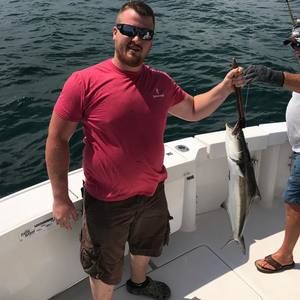 Meet your Posher, Tyler